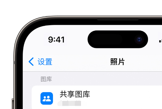 如何在 iPhone 上通过共享图库分享照片?