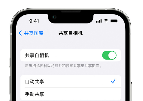如何在 iPhone 上通过共享图库分享照片?