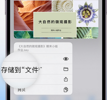 神池apple维修中心分享iPhone文件应用中存储和找到下载文件