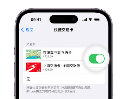 神池apple维修点分享iPhone上更换Apple Pay快捷交通卡手绘卡面 