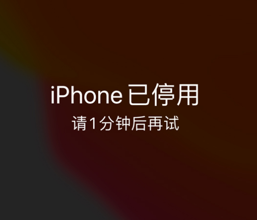 神池苹果手机维修分享:iPhone 显示“不可用”或“已停用”怎么办？还能保留数据吗？ 