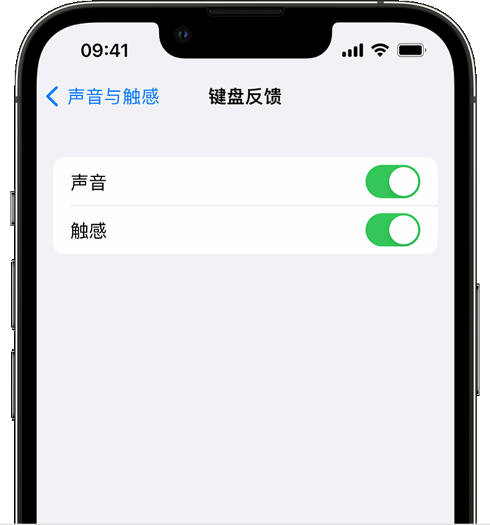 神池苹果14维修店分享如何在 iPhone 14 机型中使用触感键盘 