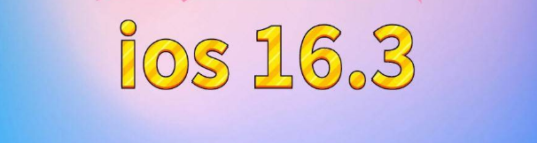 神池苹果服务网点分享苹果iOS16.3升级反馈汇总 