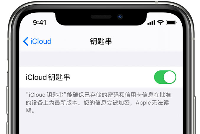 神池苹果手机维修分享在 iPhone 上开启 iCloud 钥匙串之后会储存哪些信息 