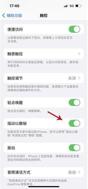 神池苹果手机维修分享iPhone手机如何设置摇一摇删除文字 