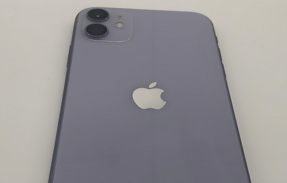 神池苹果11系统维修分享iPhone11手机系统崩溃无法开机如何解决 
